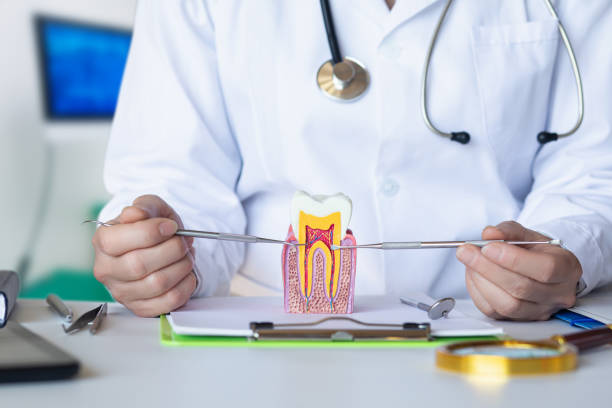 Best Emergency Dental Care for Trauma or Injury in Roaring Spring, PA